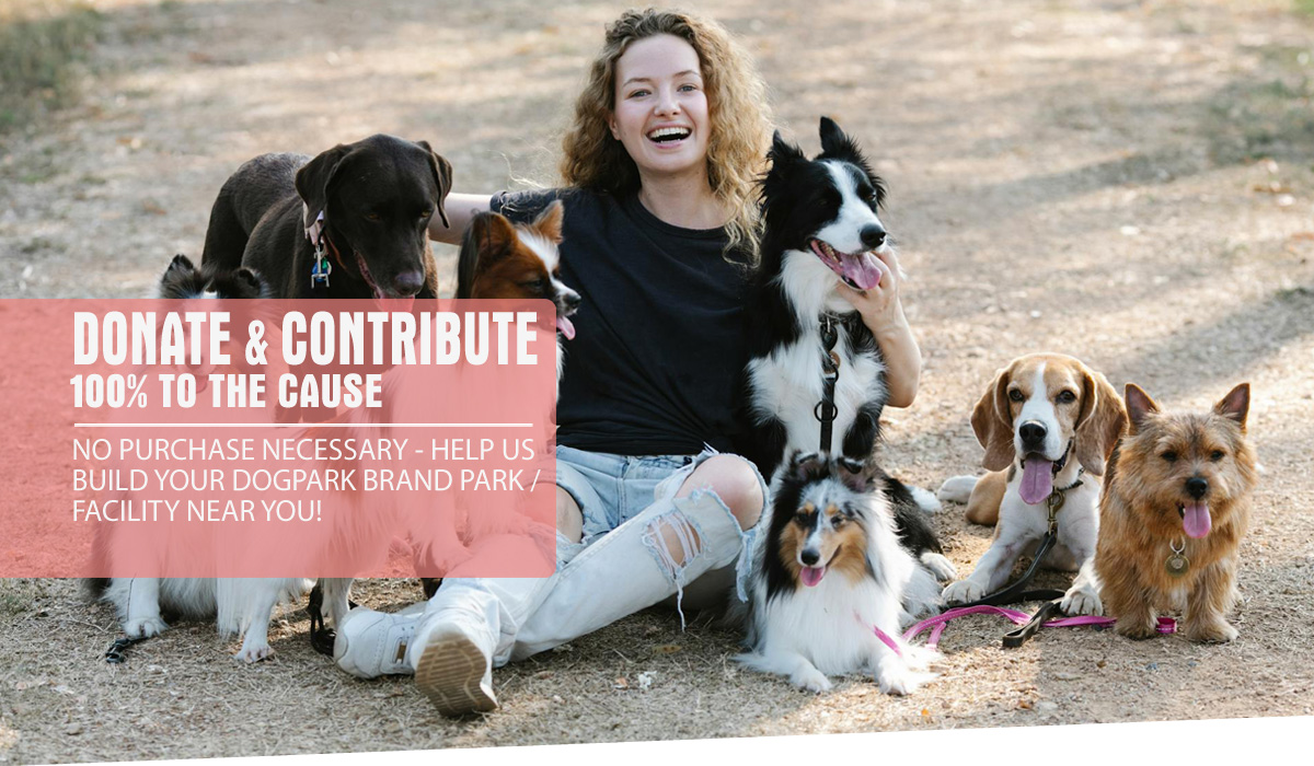 Donate and Contribute